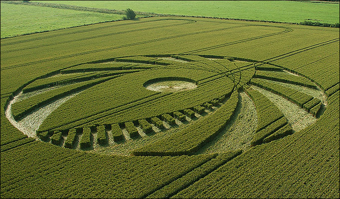 Crop circle2