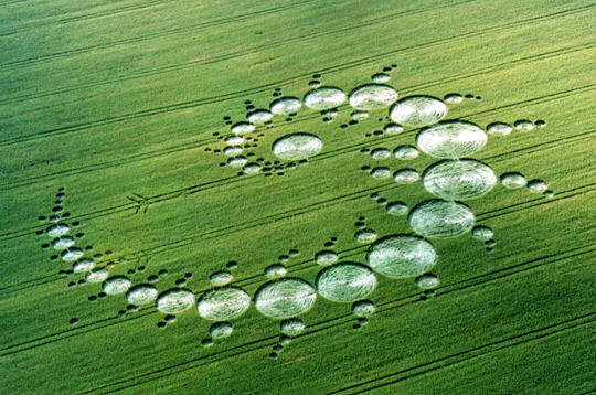 Crop circle5